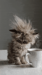 GIF آپلود شده توسط Fal