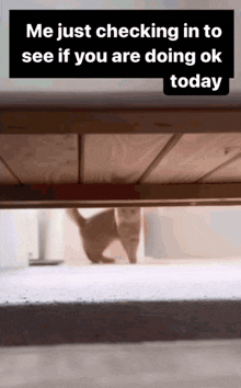 GIF uploaded by Panos