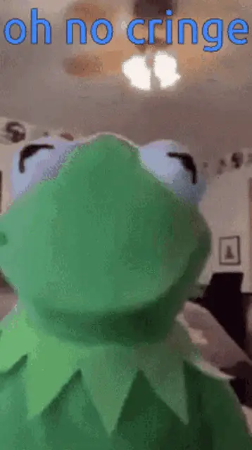 Kermit The Frog: Oh No Cringe Meme