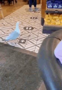 GIF