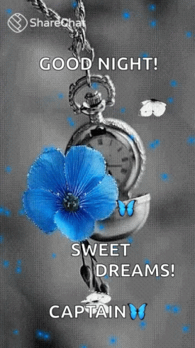 Good Night Pocket Watch with Blue Flower