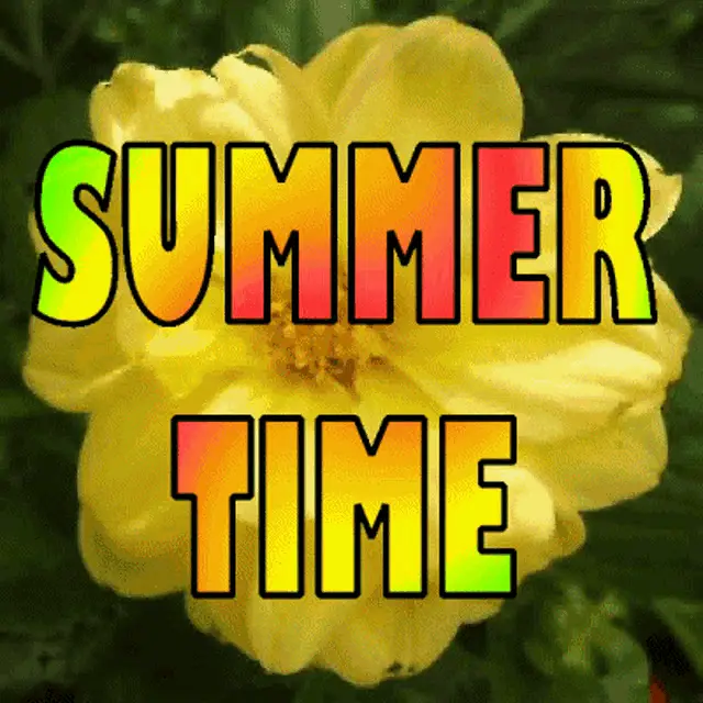 Summertime Sunshine: Morphing Flowers