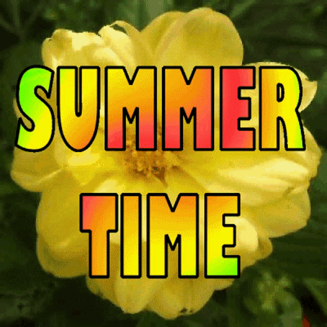 Summertime Sunshine: Morphing Flowers