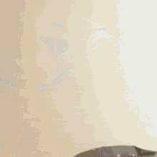 Seventeen's Reaction