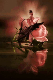 Flower Dance