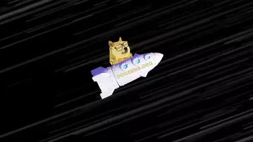 Doge on Rocket: To The Moon And Back