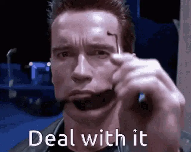 Arnold Schwarzenegger Terminator Deal With It