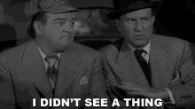 I Didn't See A Thing