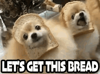 Dogs Wearing Bread with 'Lets Get This Bread' Meme