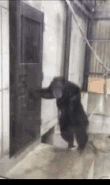 GIF