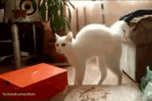 GIF subido por Luna