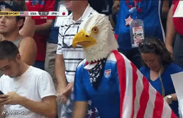 USA Fan in Eagle Mask at Sports Match