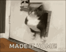 GIF uploaded by Brandon