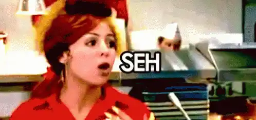 Security Sehcohrity