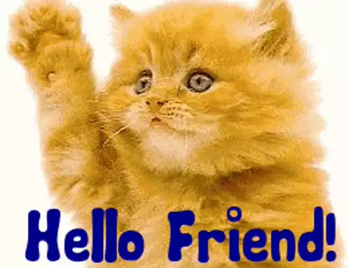 Cute Cat Waving Hello Friend