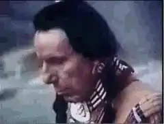 Native American Man's Tear
