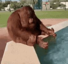 GIF hochgeladen von Chris