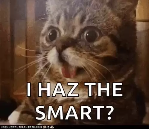 I Haz The Smart? Cat Meme
