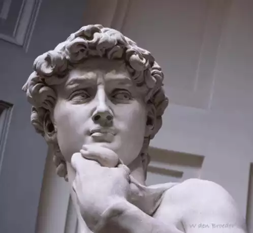 Michelangelo's David Statue