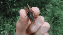 https://static.klipy.com/ii/d6b0ce929193df3c242ac34b5654d2ce/8f/4e/ea7LqEtj.gif