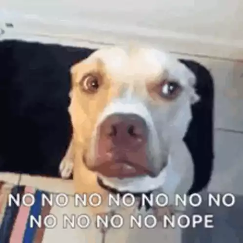 No No No Meme