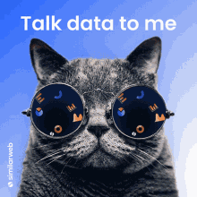 Data Nerds Cool Cat
