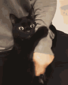 GIF uploaded by Emily