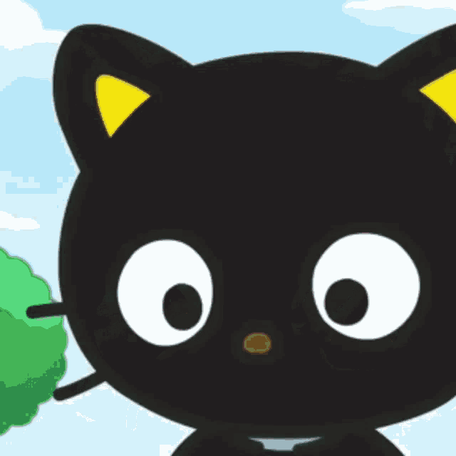 Chococat from Hello Kitty Looks Around