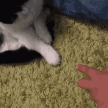 I Love You Cats