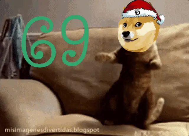 Doge Dogecoin Meme with Santa Hat