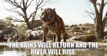 Shere Khan in The Jungle Book