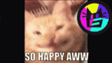 Cute Cat Glumbo