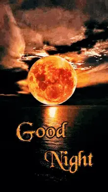 Moonlit Goodnight