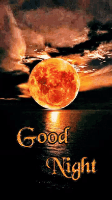 Moonlit Goodnight