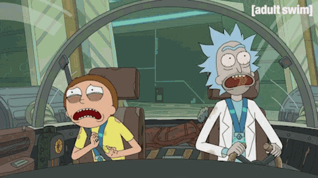 Rick and Morty: Morty's Wild Ride