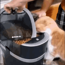 GIF آپلود شده توسط Sarah