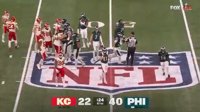 Superbowlwinner.gif