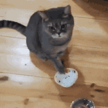 GIF diunggah oleh Елена