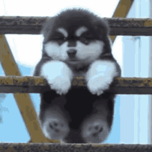 GIF uploaded by Bri