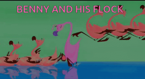 Benny Shilling and His Flamingo Flock