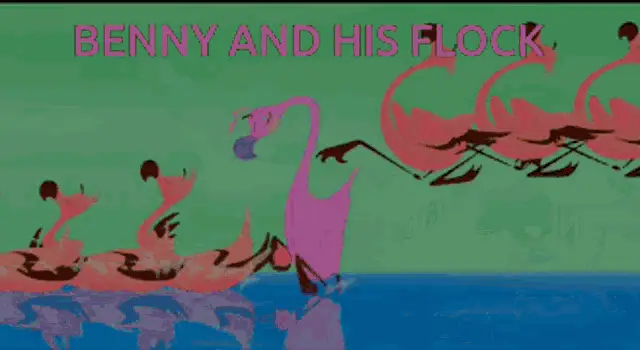 Benny Shilling and His Flamingo Flock
