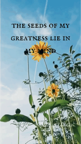Kelseapeet Wordswithkelsea: Seeds of Greatness Affirmation