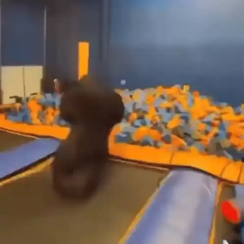 Funny Gorilla Suit Jumps on Trampoline