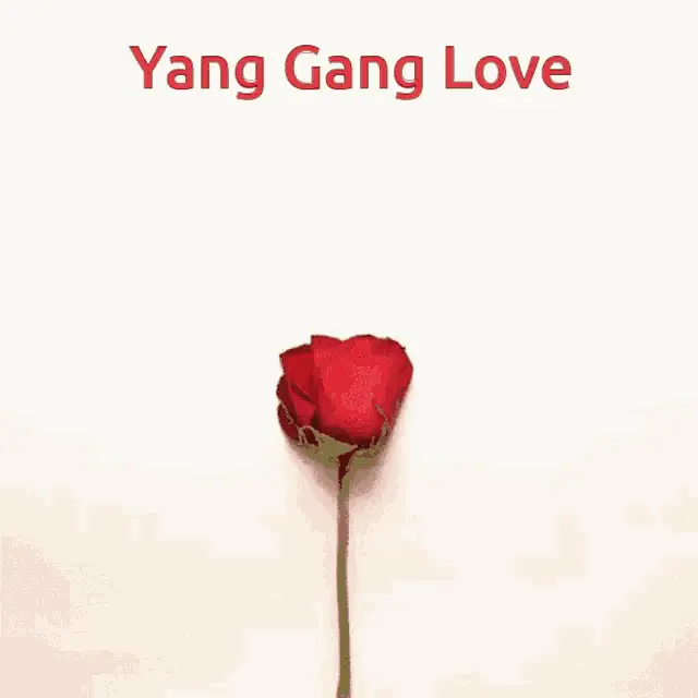 Yang Gang Love: Rose Petal Heart