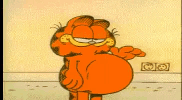 Garfield's Stuffed Belly