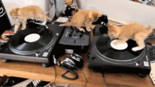 GIF eropgeluede vum Funnygirl