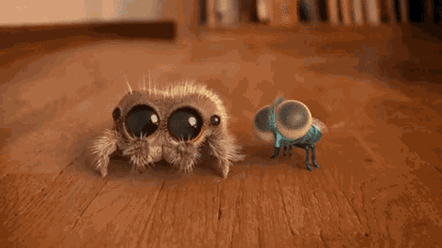 Cute Animated Spider and Fly