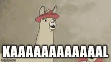 Lamas With Hats