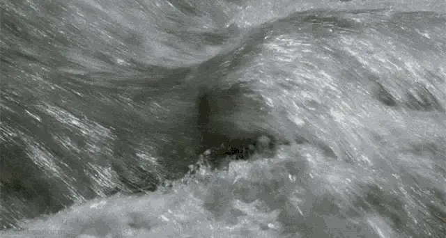 Wild River Rapids