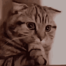 GIF diunggah oleh VVisteria